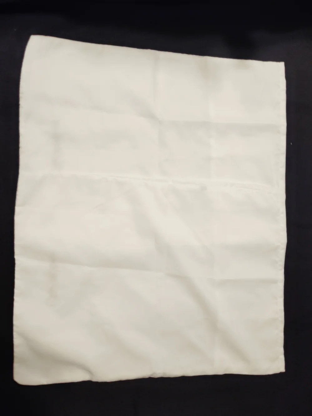 Saks Fifth Avenue White Embroidered Pillowcases Set